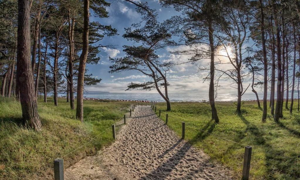 Direkt Am Strand Mit Meerblick Und Sauna - Fewo Strandidyll Binz Exteriér fotografie